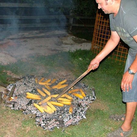 Tourist Farm Pri Martinovih Villa Krska Vas Bagian luar foto